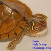 Mississippi Map Turtles for sale