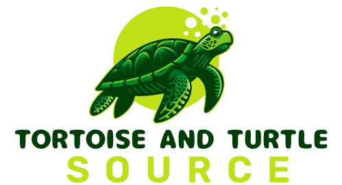 THE TORTOISE AND TURTLE SOURCE